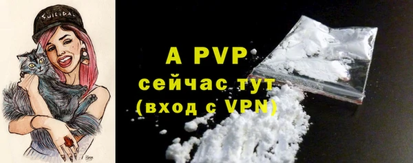 твердый Бердск