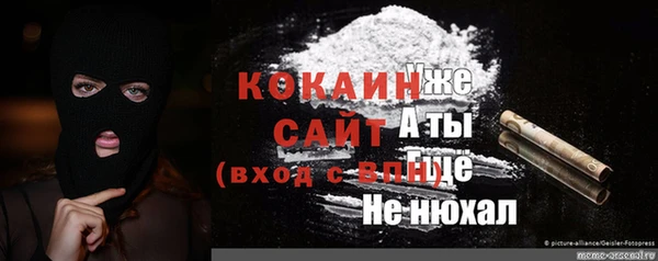 твердый Бердск
