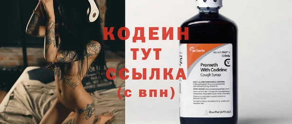 твердый Бердск