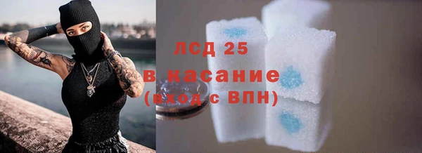 прущие грибы Долгопрудный