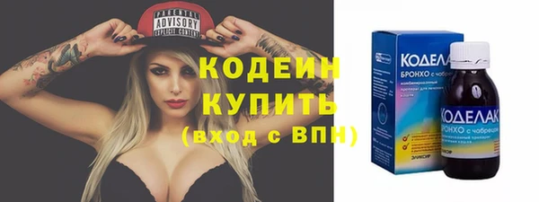 твердый Бердск
