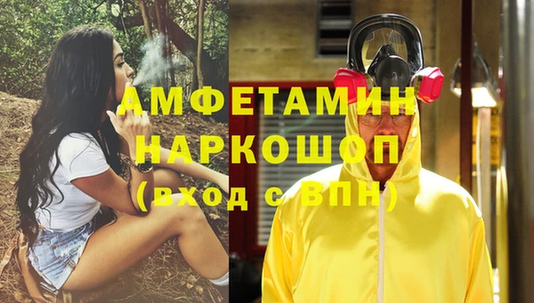 прущие грибы Долгопрудный