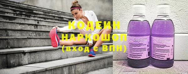 твердый Бердск
