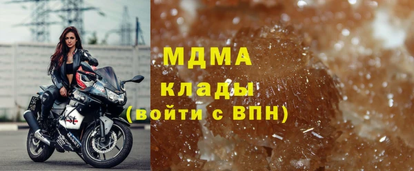прущие грибы Долгопрудный