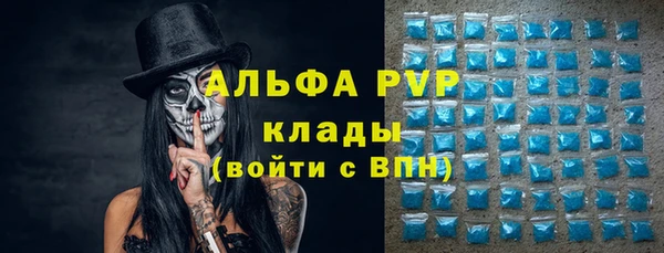 твердый Бердск