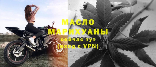 прущие грибы Долгопрудный