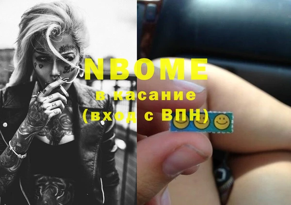 твердый Бердск