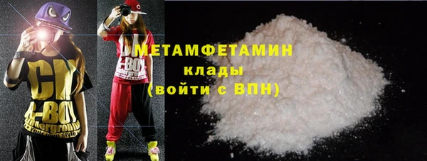 прущие грибы Долгопрудный