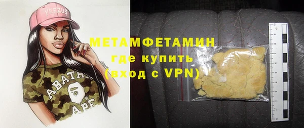 прущие грибы Долгопрудный
