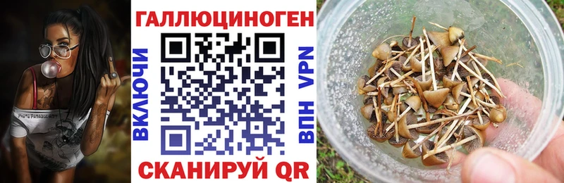 Псилоцибиновые грибы Cubensis  Абаза 